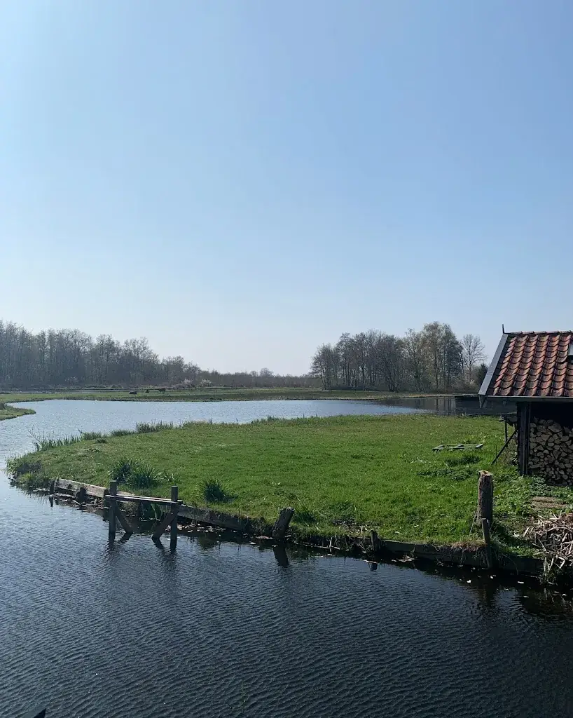 Amanda Z._1244_Ankeveen_review