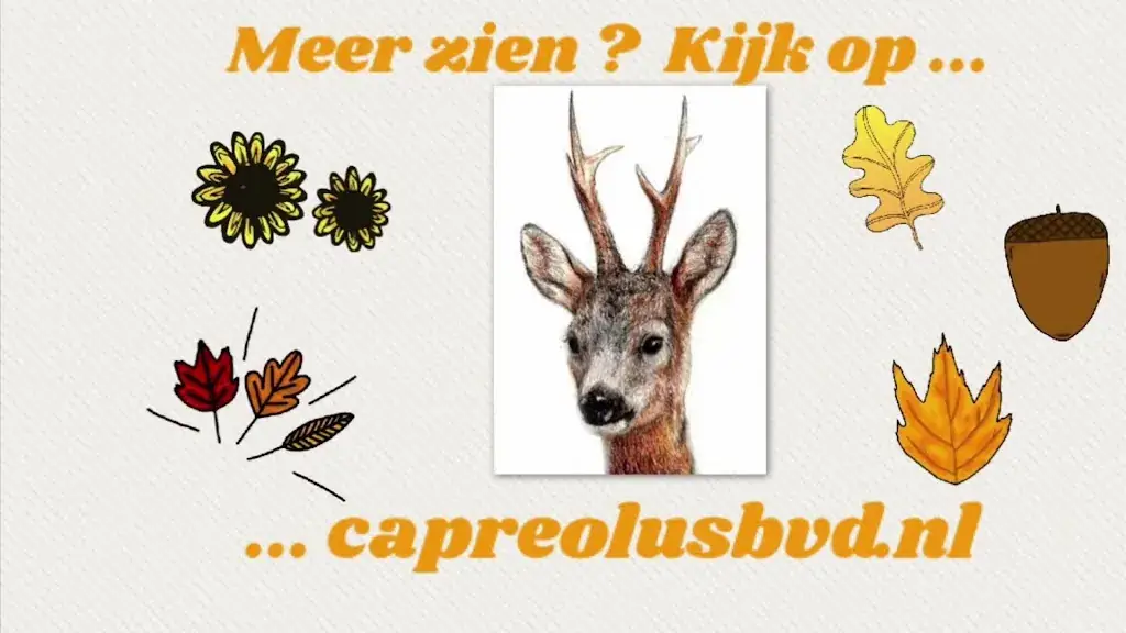 Bar Restaurant Hofman_Alkmaar_slider_image_2