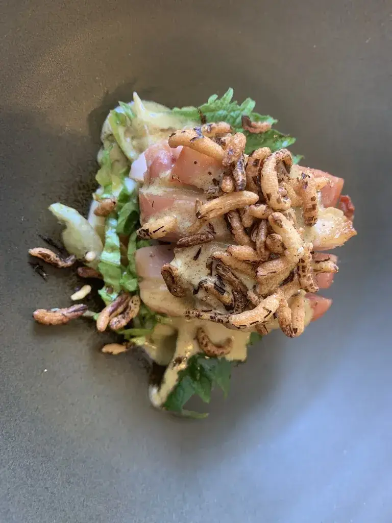 Inês Rodrigues_Fernando's Alkmaar_Alkmaar_review