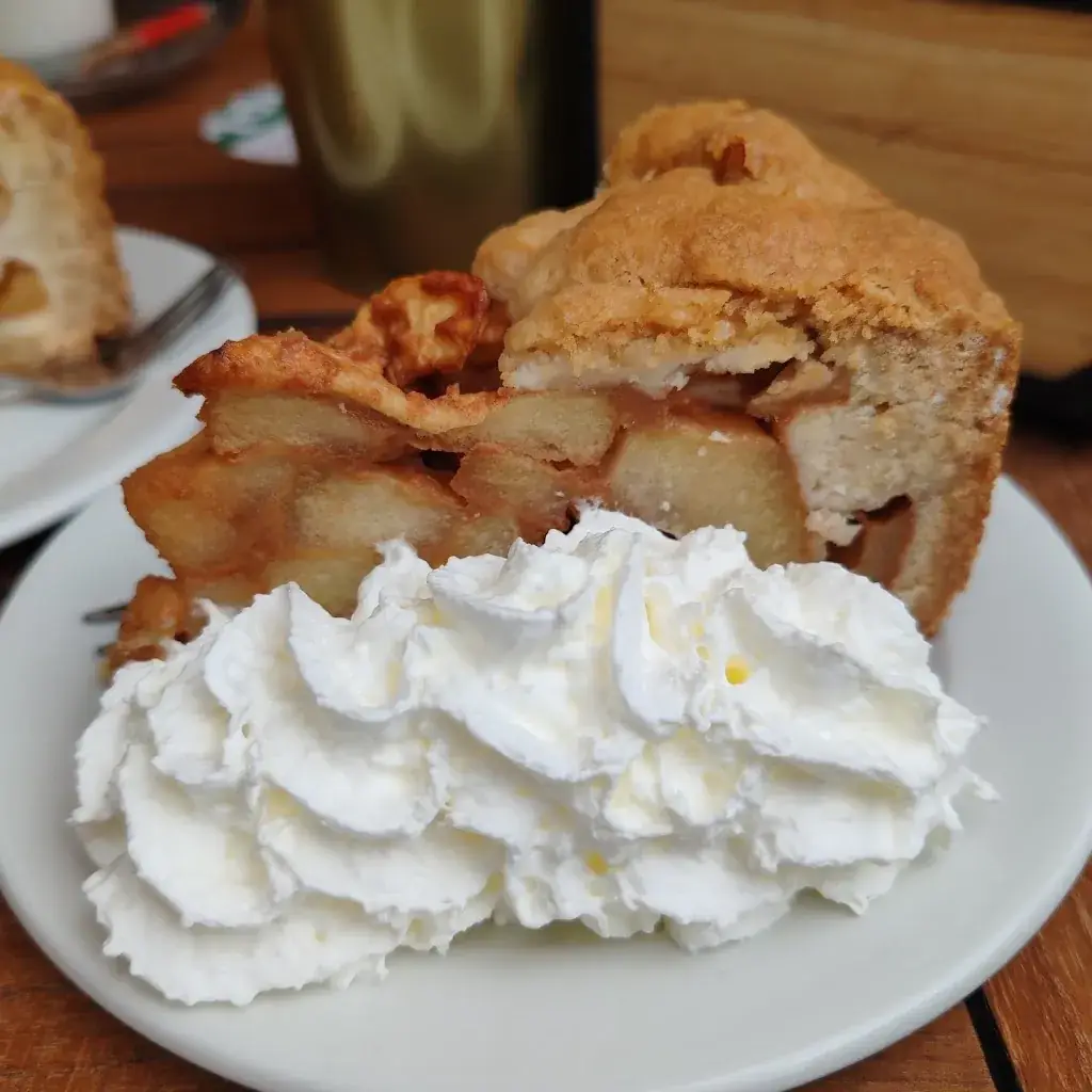 Philip Search_De Koning_Alkmaar_review