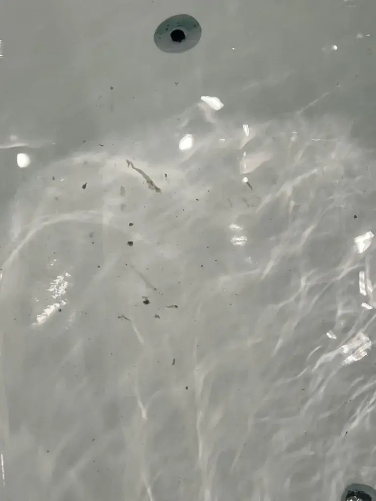 Shifa G_VILLA GROET uit Avenhorn_Avenhorn_review