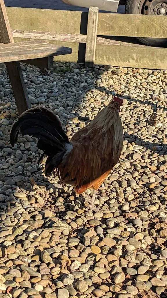 Paul Rose_Koffiepost_Assendelft_review