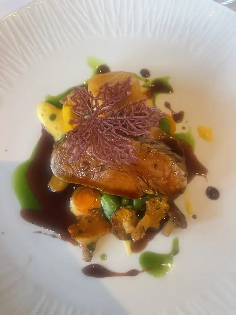Neda Massoudifar_Restaurant Apicius_Castricum_review