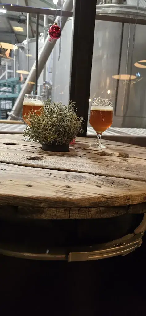 Mikael Jönsson_De Proefzaak Amsterdam_Amsterdam_avis