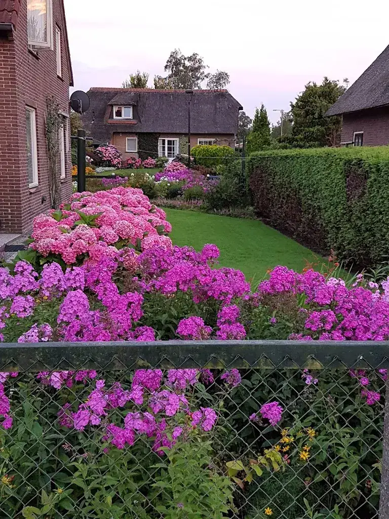 Wanda The Great_Petit Restaurant 