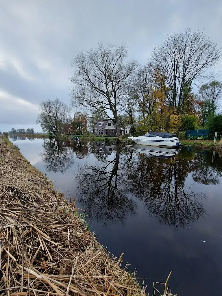 Andrius Daugela_Café de Brêge_Beets_review