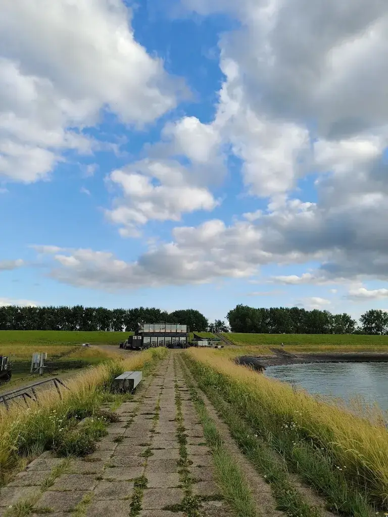 onsiri netisak_BEET_Zaamslag_review