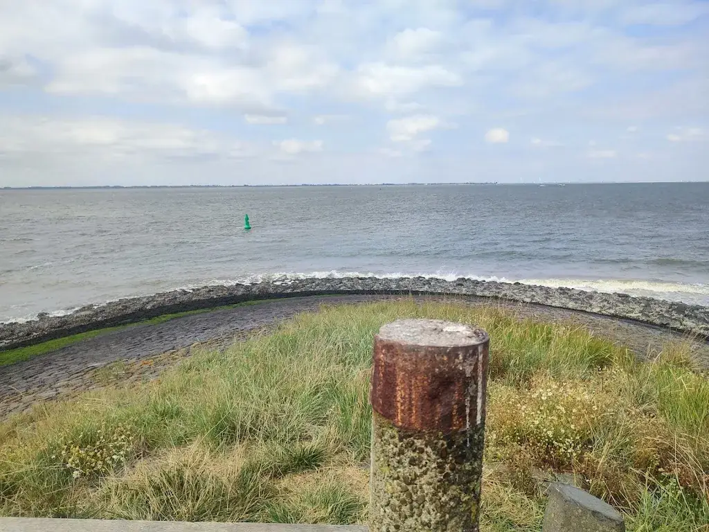 Rani T'Kindt_BEET_Zaamslag_review