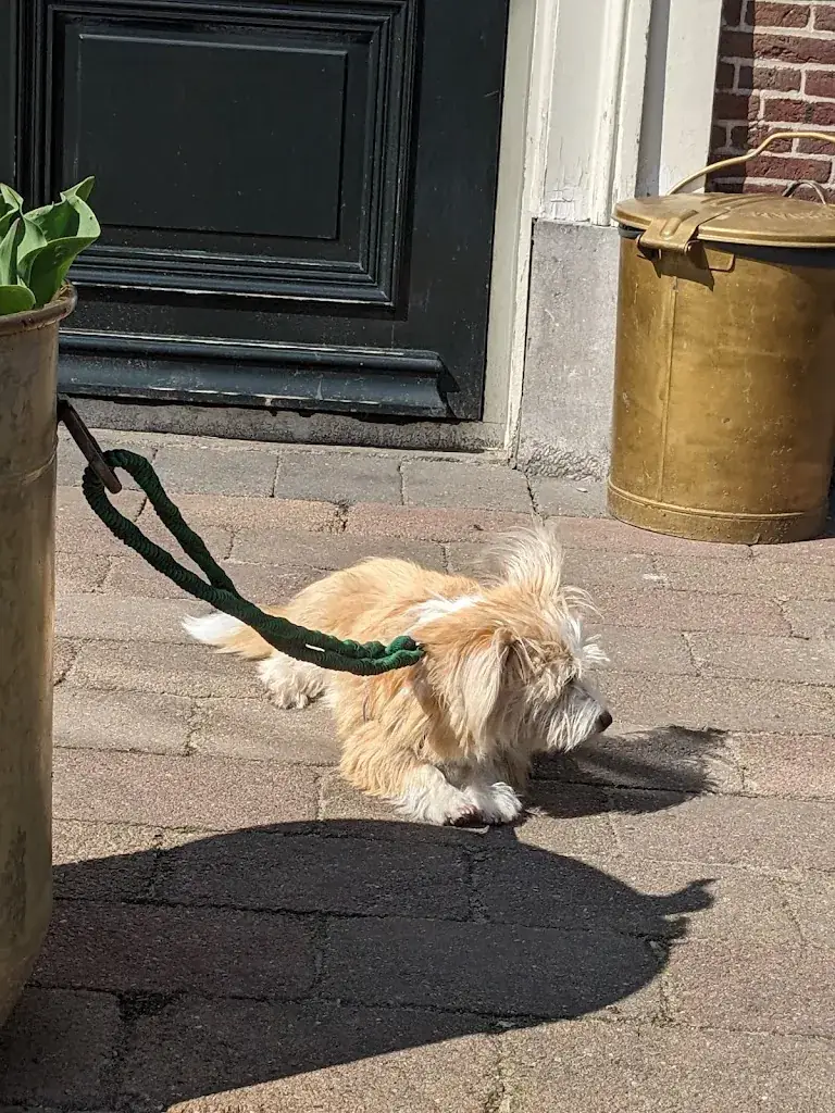 Vitalii Saltykov_Brasserie De Kerckhaen_Westbeemster_avis