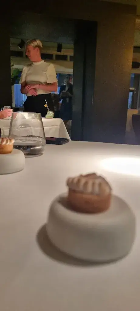 Natalia Pirvu_Restaurant TOV_Schagen_review