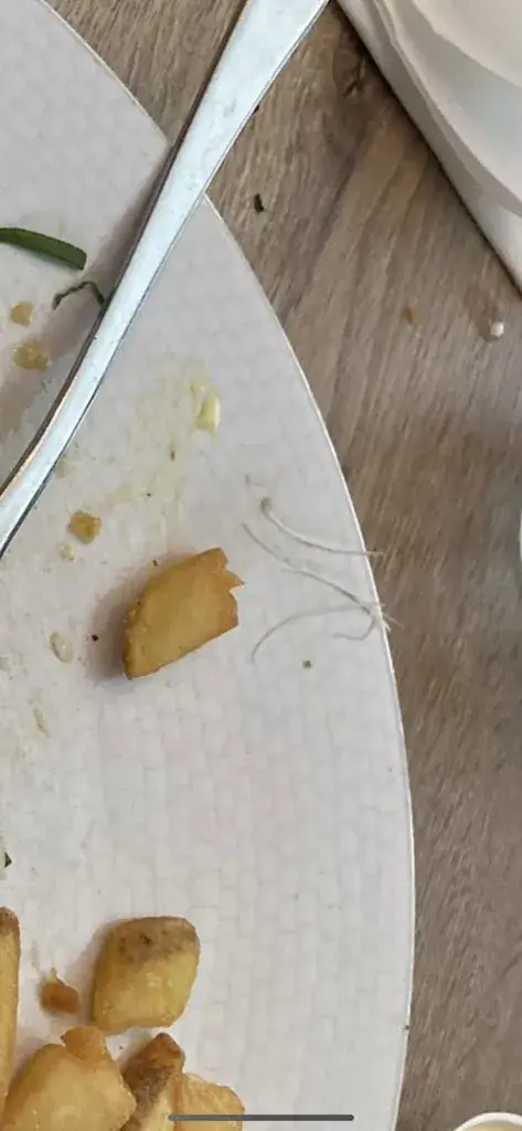 Ilina_Full House Pub_Lelystad_avis