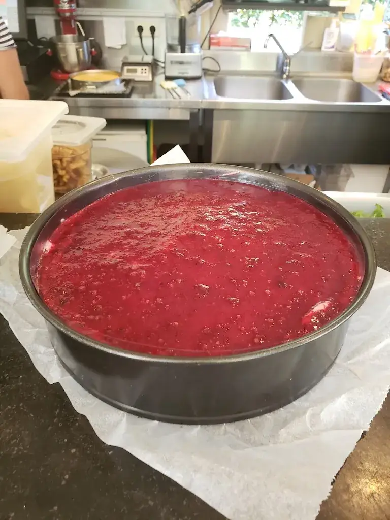 Anna_De Wachtkamer_Vogelenzang_recensione