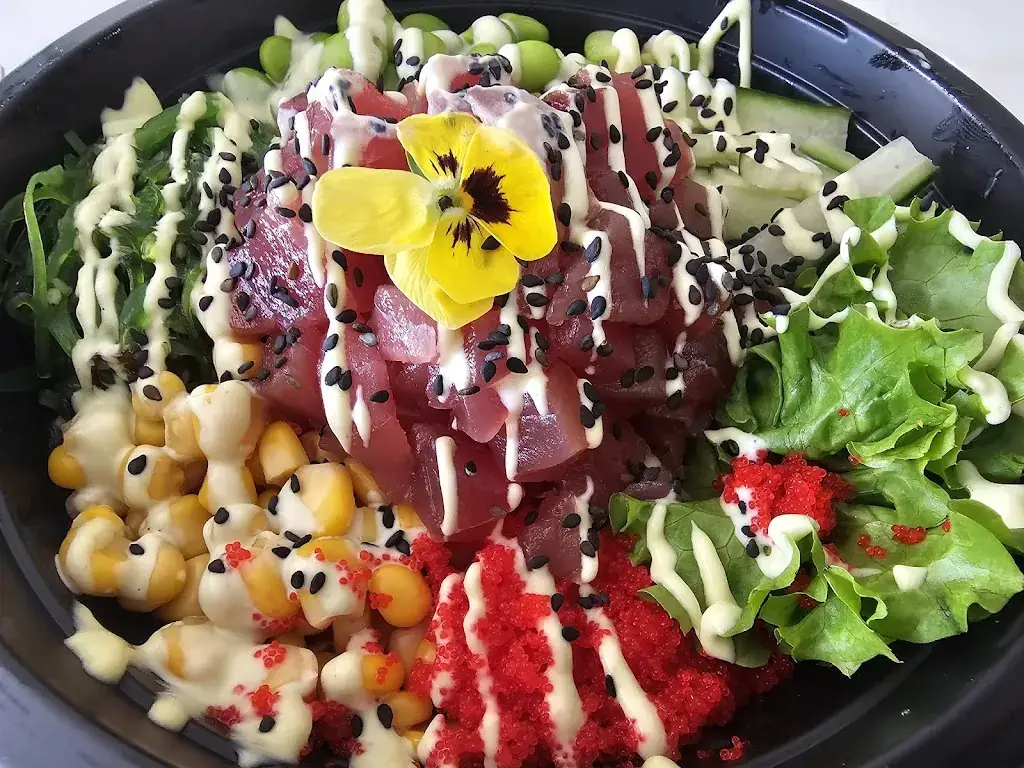 Sander Boon_The Sushi Spot_Bennebroek_review