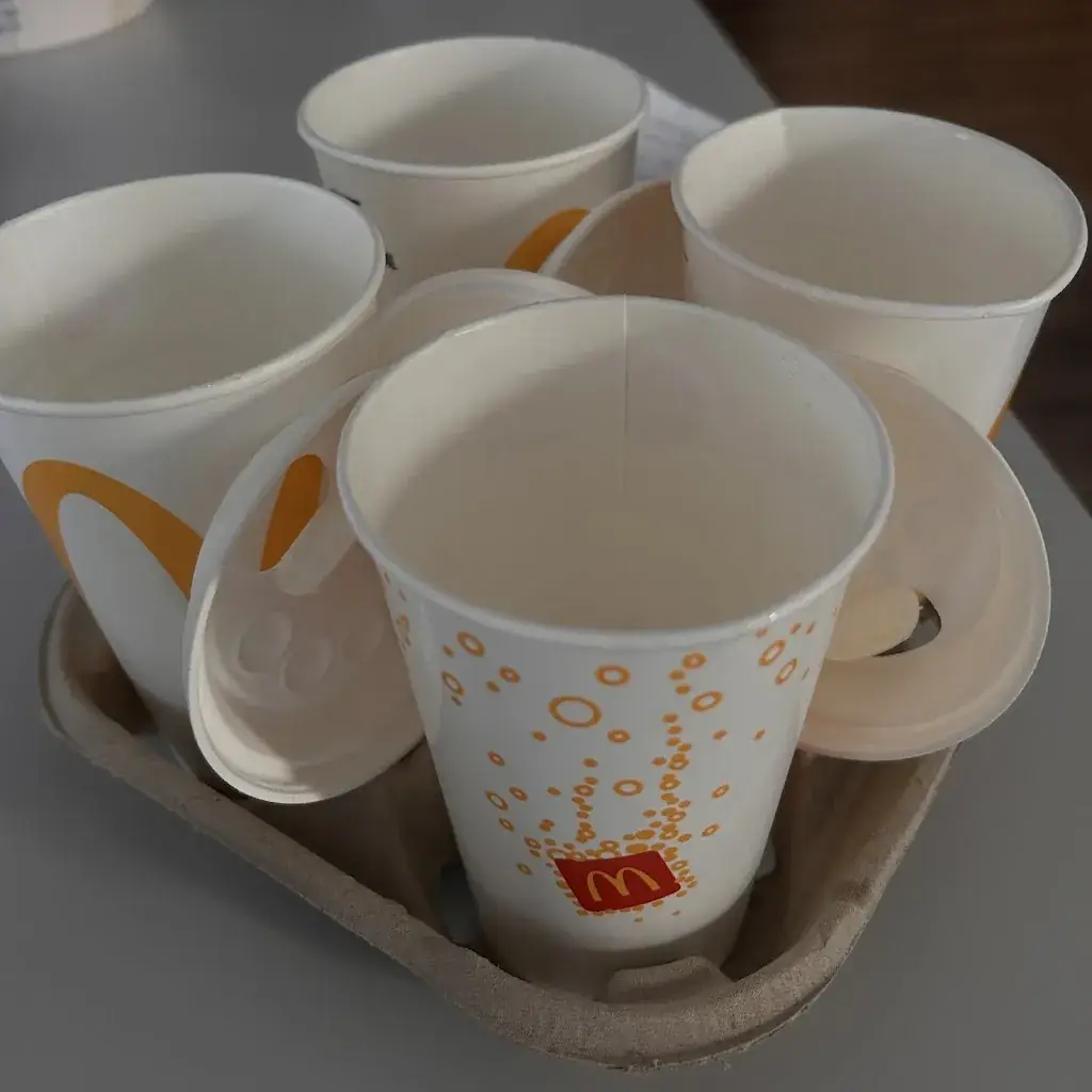 St Vater_McDonald's_Berkhout_recensione