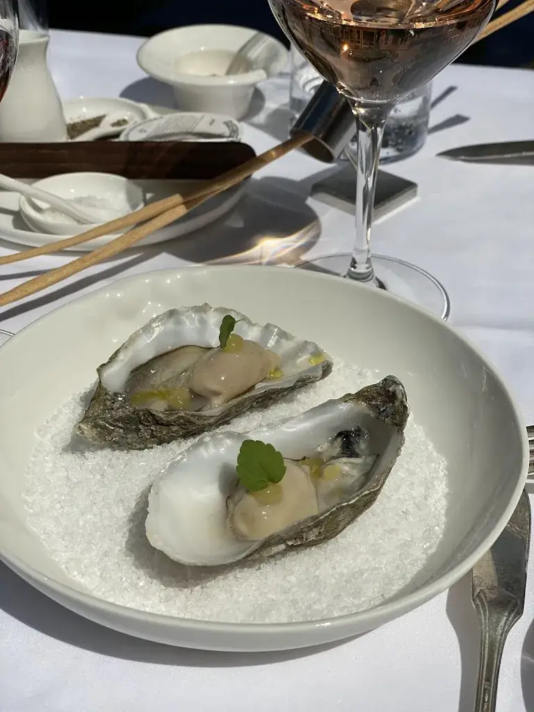 Julie Besner_MARQUE_Hoorn_reseña