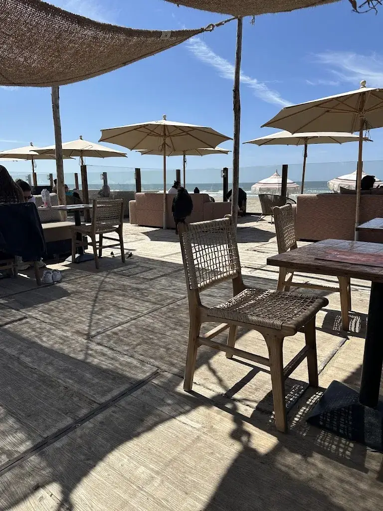 Nicole Cadiz_Beach Club Far Out_Zandvoort_review