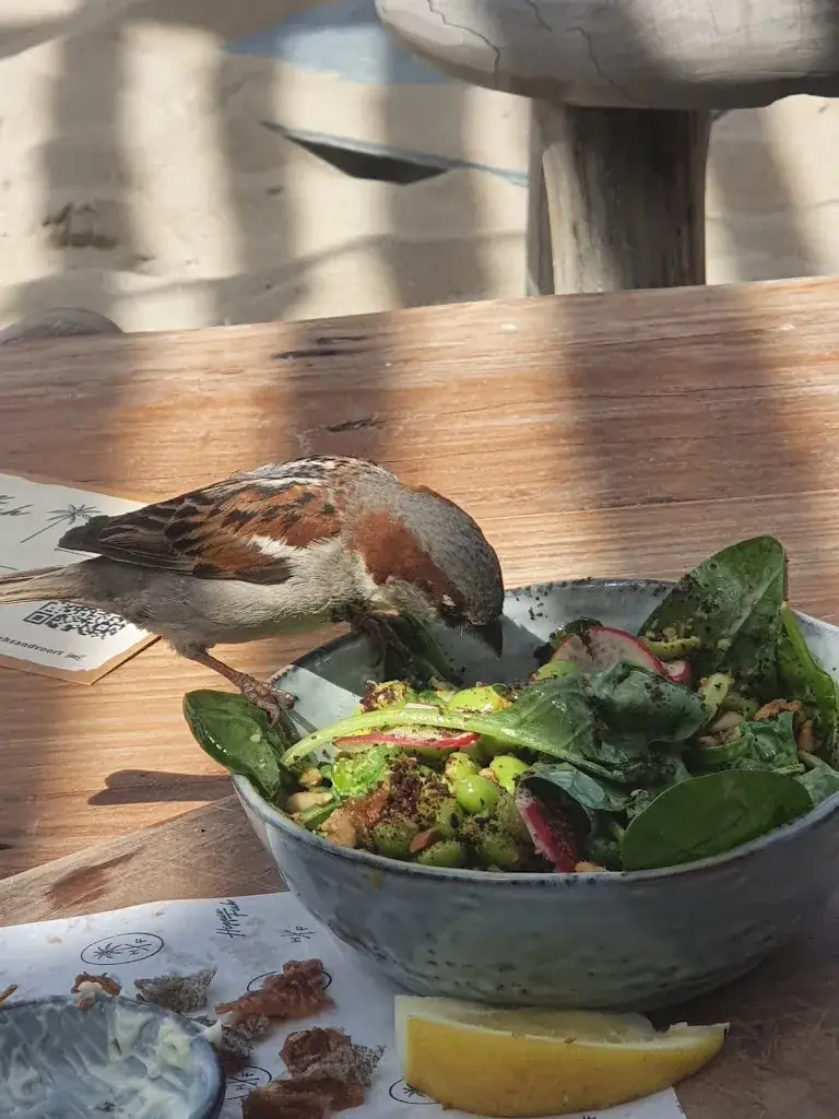 Menu_Hippie Fish_Zandvoort_image_6