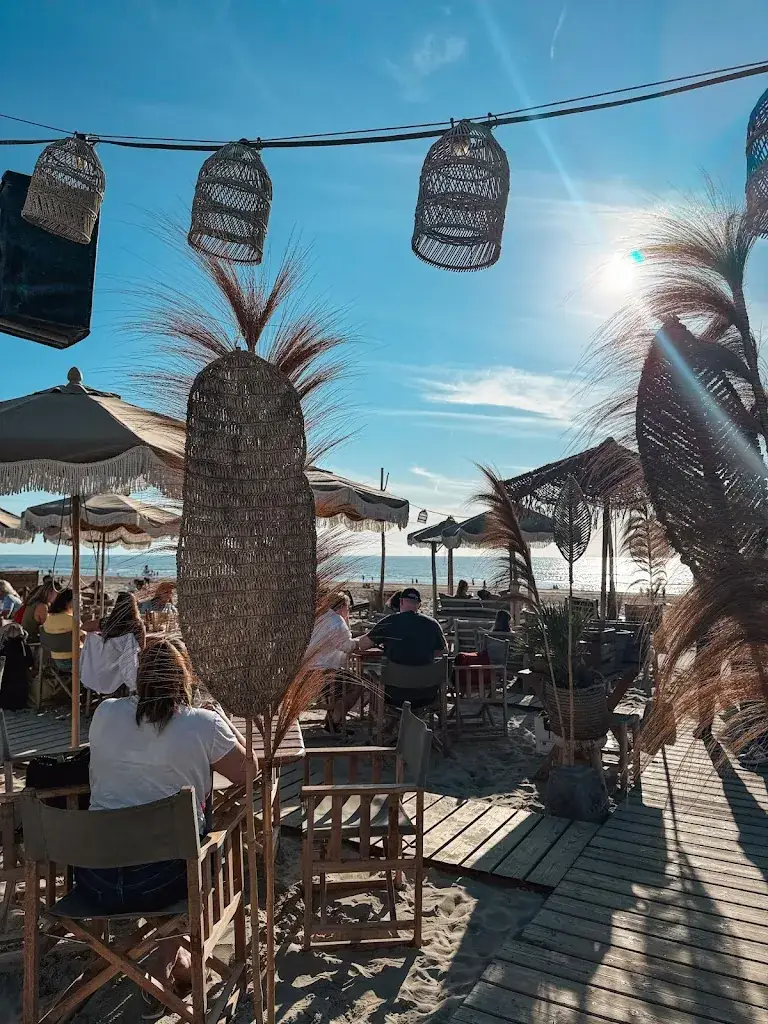 Hippie Fish_Zandvoort_slider_image_3