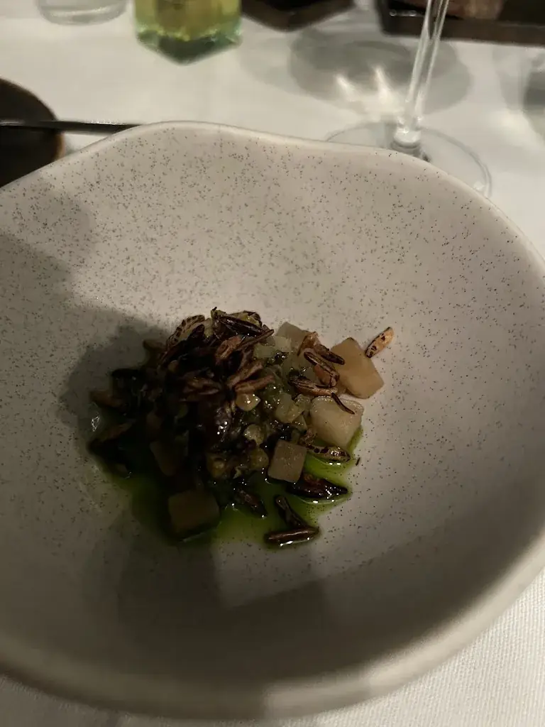 Panos Aslanidis_Pand 33 Utrecht_Utrecht_review