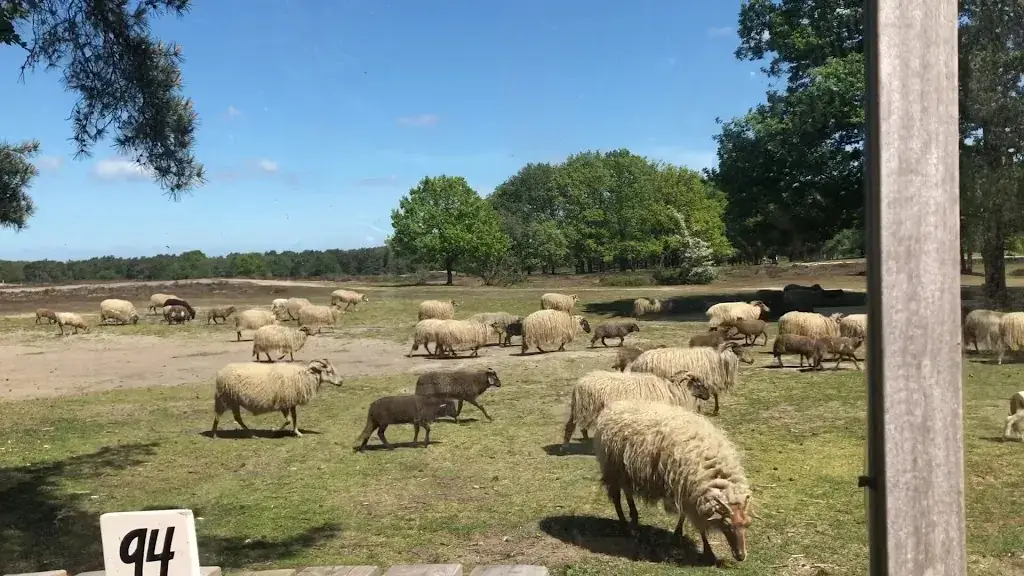 Café Restaurant de Eendracht Blaricum_Blaricum_slider_image_2