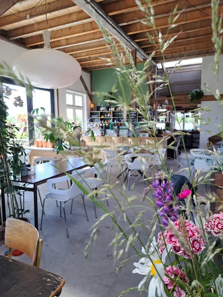 G Whatever_Bistro Zacht Staal | voorheen Café Picknick_Beverwijk_Bewertung