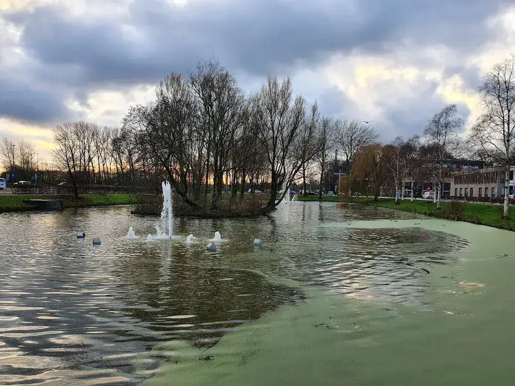 Robert Johan Siks_Bar Bistro De Rode Haan_Beverwijk_review