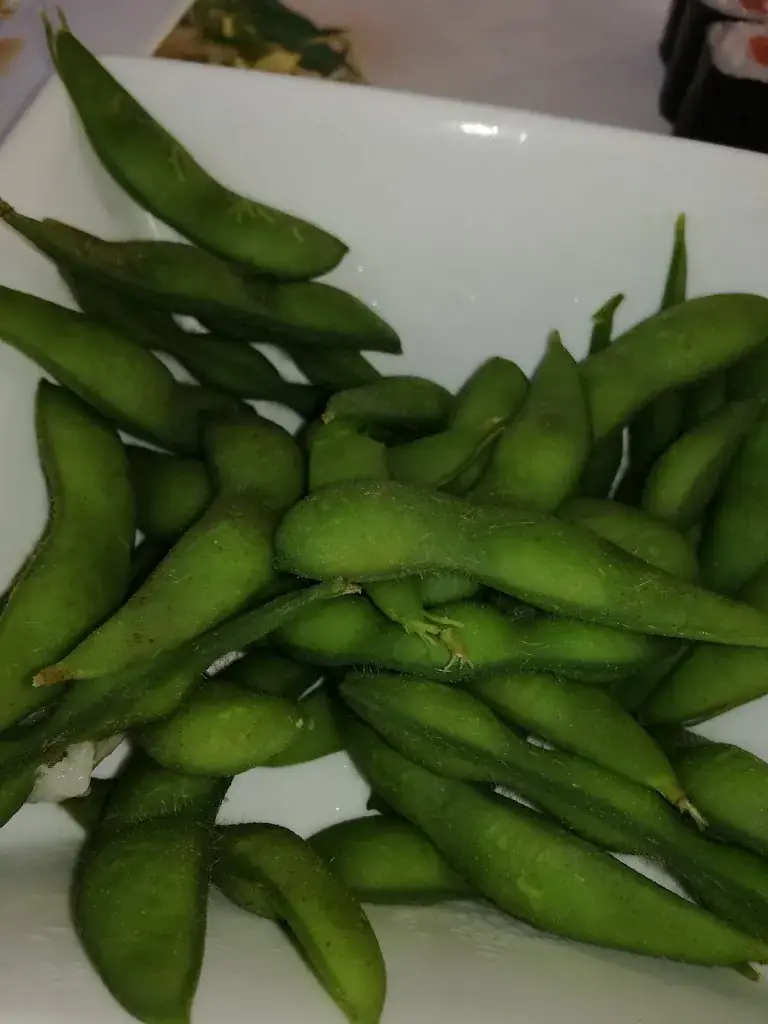 Menu_Asami Sushi_Lelystad_image_8