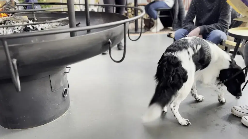 Patrick Plaggenborg_Brave Hendrik - Theetuin Eemnes_Eemnes_review