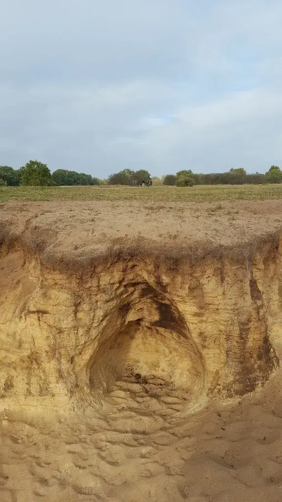 Emiel Kaarsgaren_Het Aspergediner in Blaricum_Blaricum_review