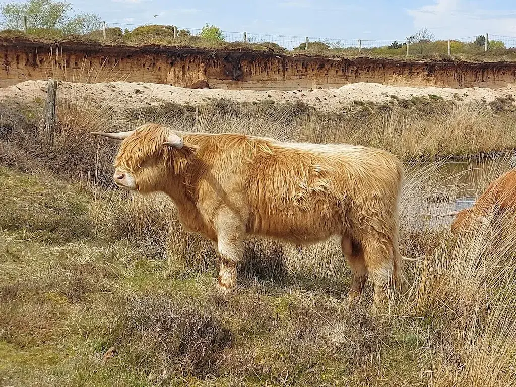 Ronald van Schaik_Het Aspergediner in Blaricum_Blaricum_review