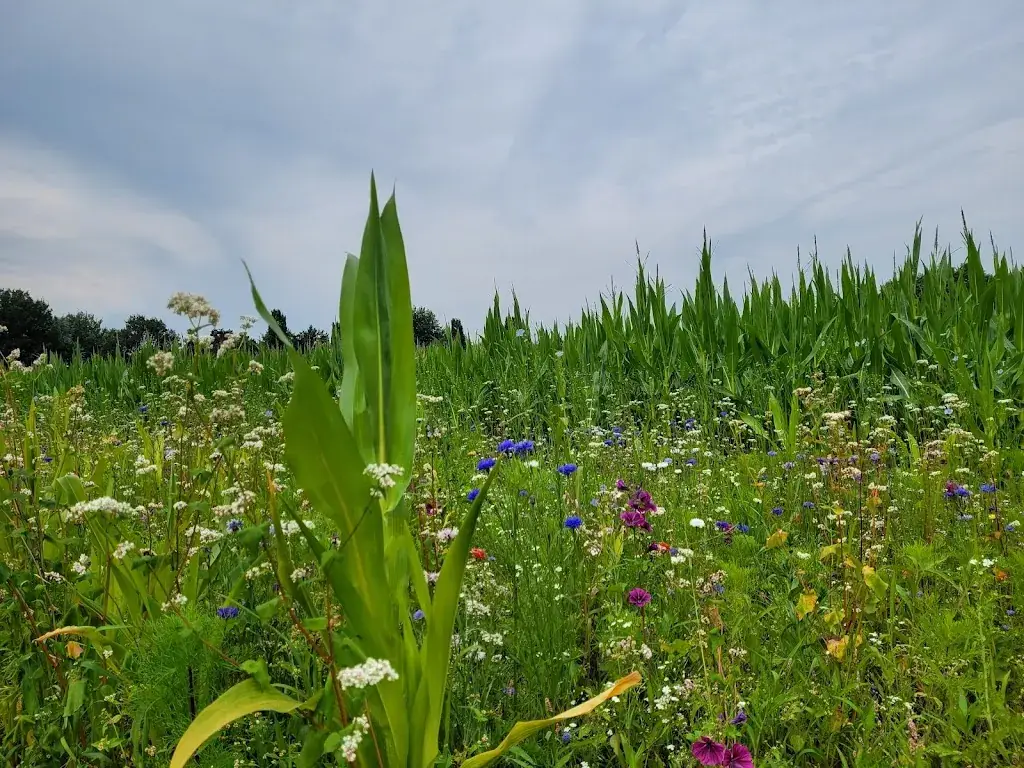 Het Aspergediner_Blaricum_slider_image_1