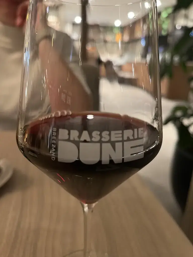 Daniel C. de Vogel_Brasserie Dune_Vrouwenpolder_review