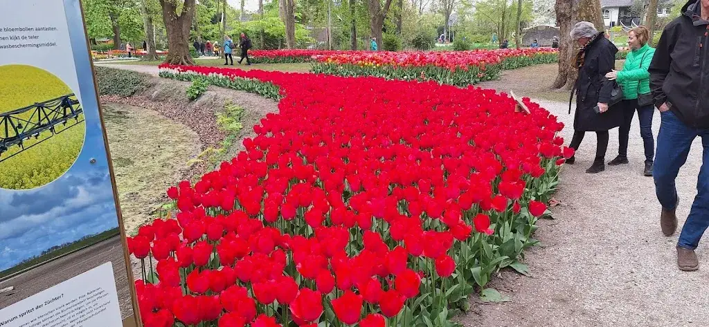 A Hoogeboom_Bloemenlust Breezand_Breezand_review