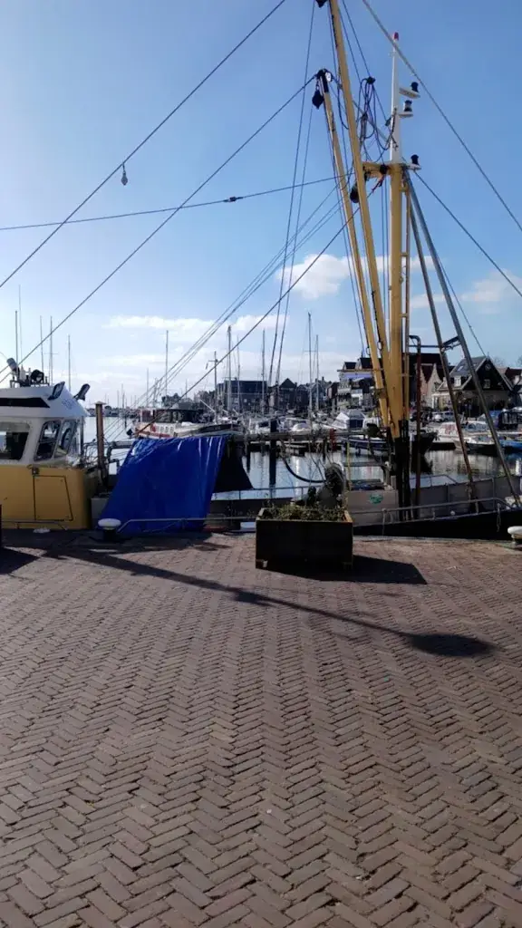 T Postma_Het Haventje van Urk B.V._Urk_review