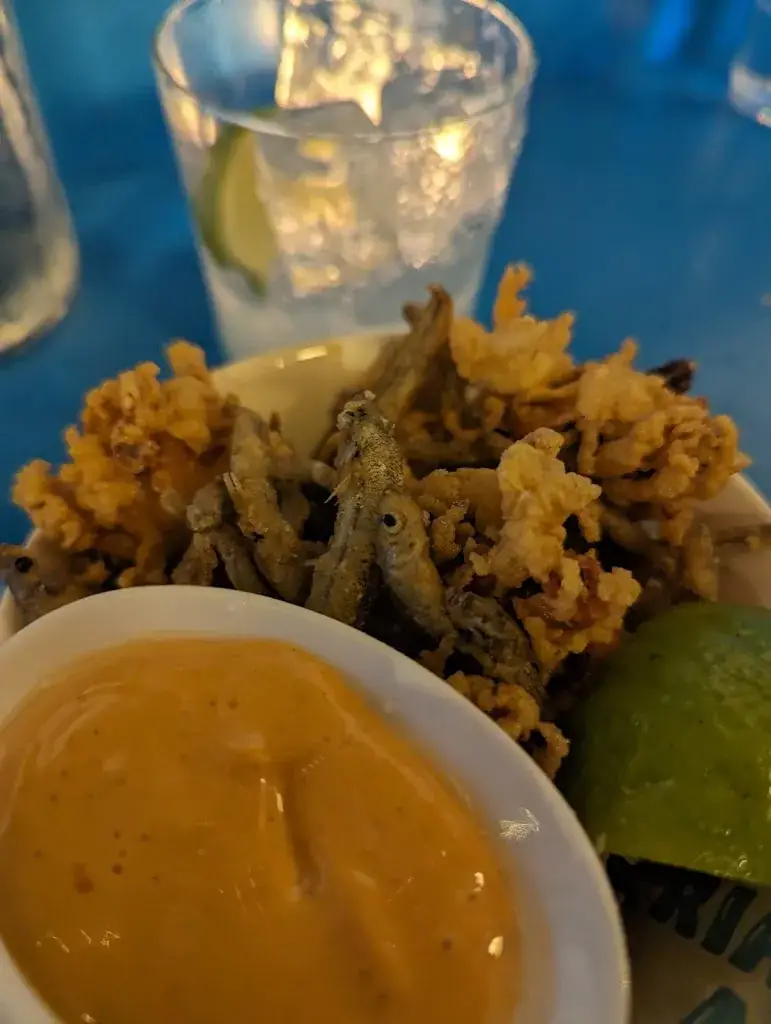 David Barber_MasMais Cantina 🌵_Amsterdam_review