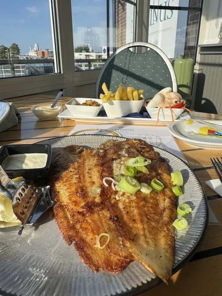 Gergely Szöllősi_Visrestaurant/Café Neptunus_Helder_review