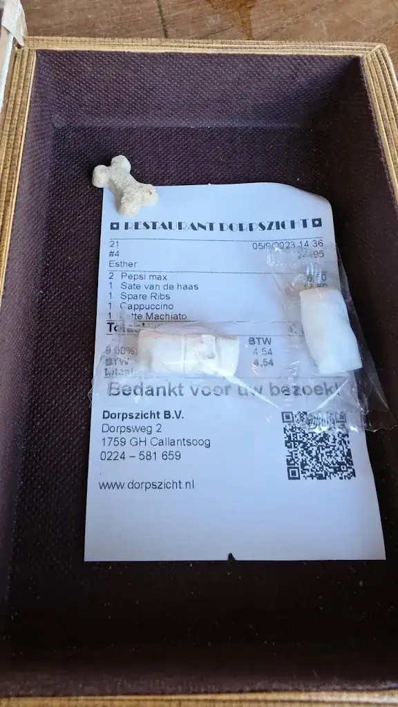 Wulf Schmidtchen_Dorpszicht_Callantsoog_review