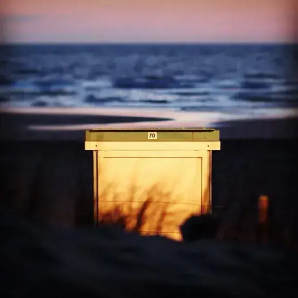 Beach Pavillion Vos_Callantsoog_slider_image_2