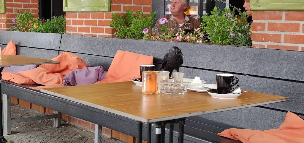 Monique Hendriks_IEGEWIES eten & drinken_Callantsoog_review