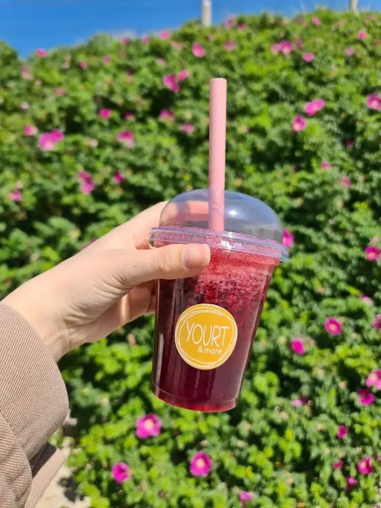 Menu_Yourt_Callantsoog_image_7