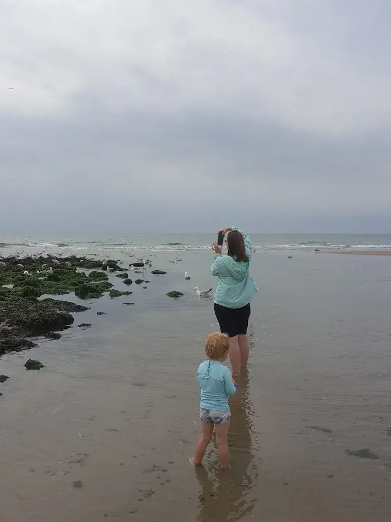 Shann de Smidt_Beach Pavillion De Toko_Callantsoog_review