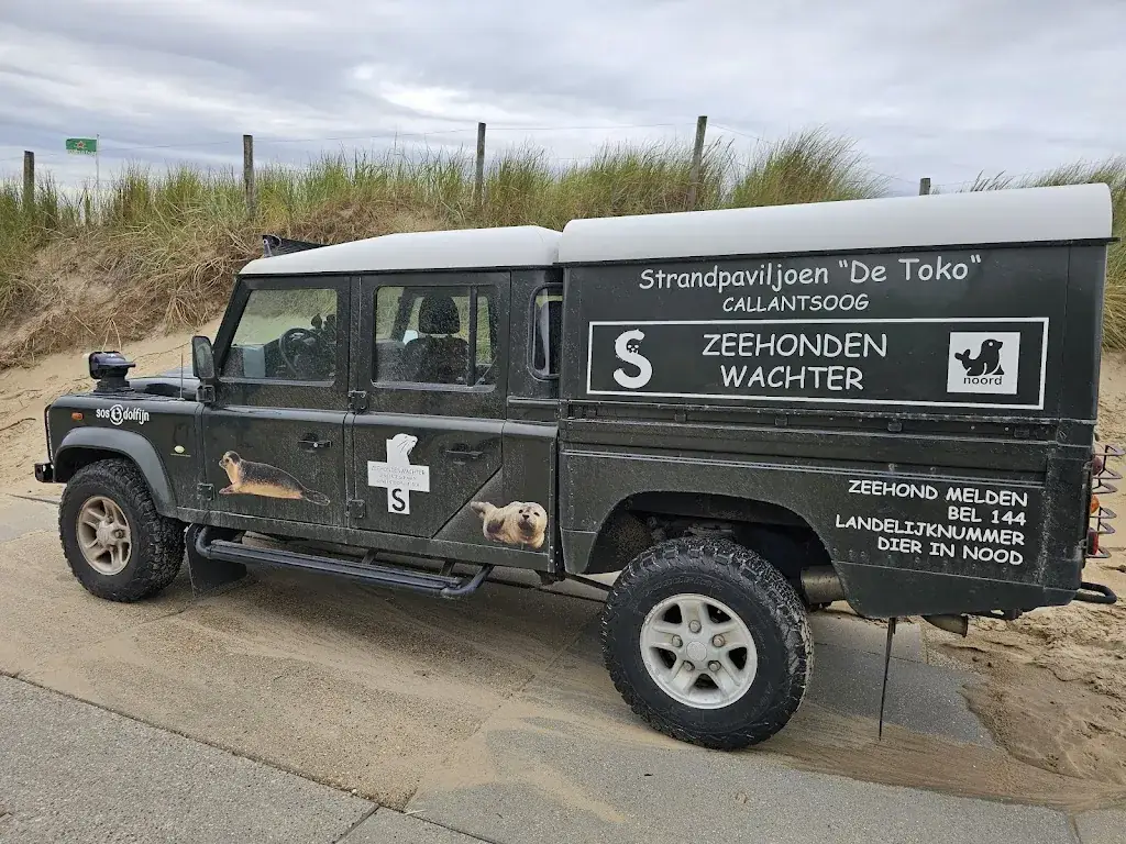 Bernds_Welt_Beach Pavillion De Toko_Callantsoog_review