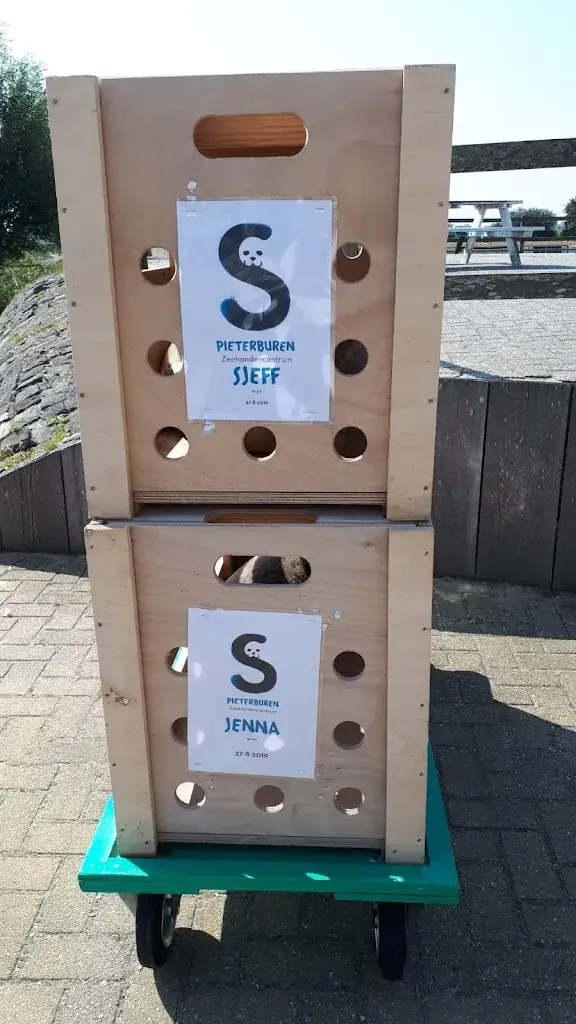 Beach Pavillion De Toko_Callantsoog_slider_image_3