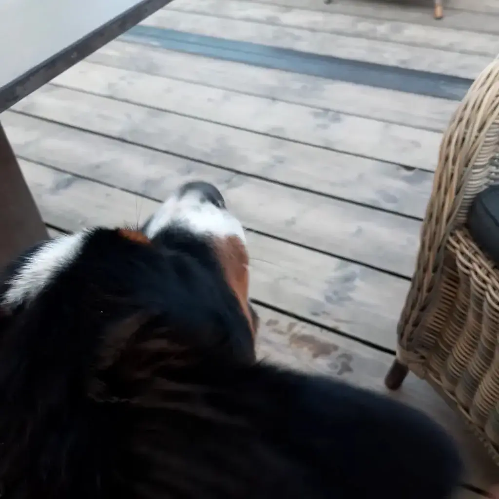 Beach Pavilion De Strandtent_Callantsoog_slider_image_2