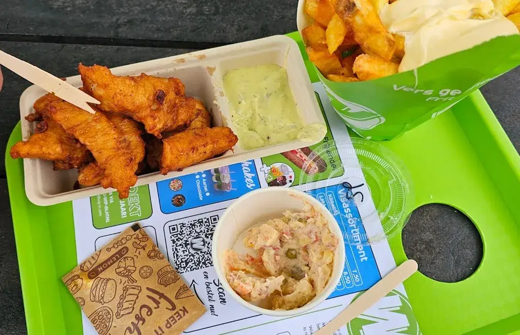 Michael Koch_Wip-In_Callantsoog_review