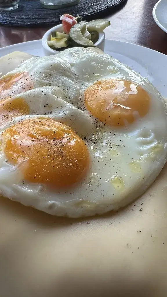 MerijnGarry Home_De Zingende Wielen_Oever_recensione