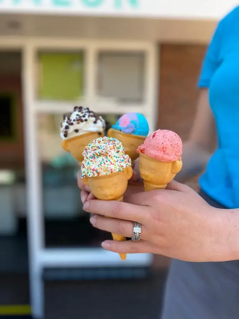 Menu_Wieringer IJssalon_Westerland_image_7