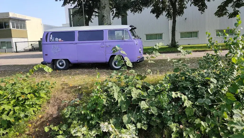 re schooten_Wieringer IJssalon_Westerland_review