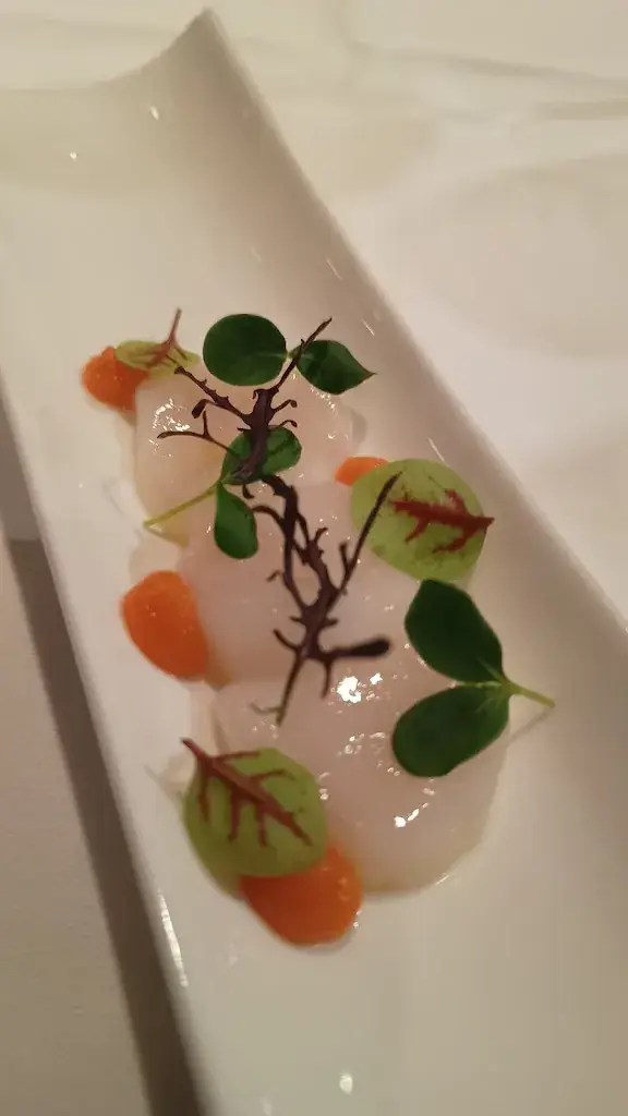 Menu_Restaurant WIJS_Paulowna_immagine_3