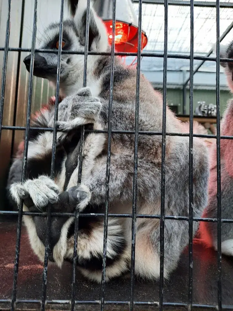 Arjan Jong_Restaurant Landgoed Hoenderdaell_Paulowna_review